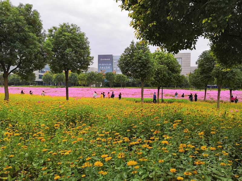 1540173918377551.jpg 1540173918377551.jpg