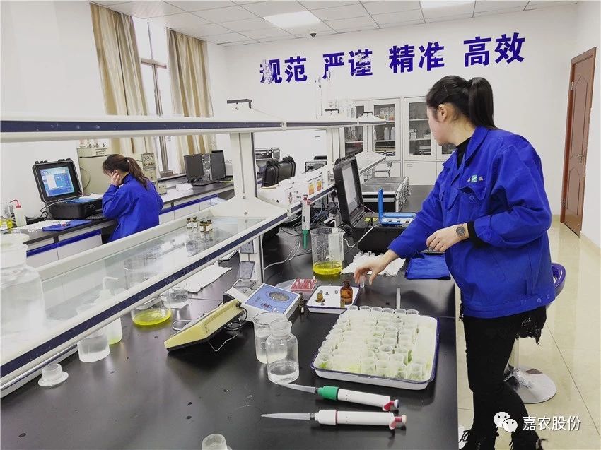 1549161666667119.jpg 1549161666667119.jpg