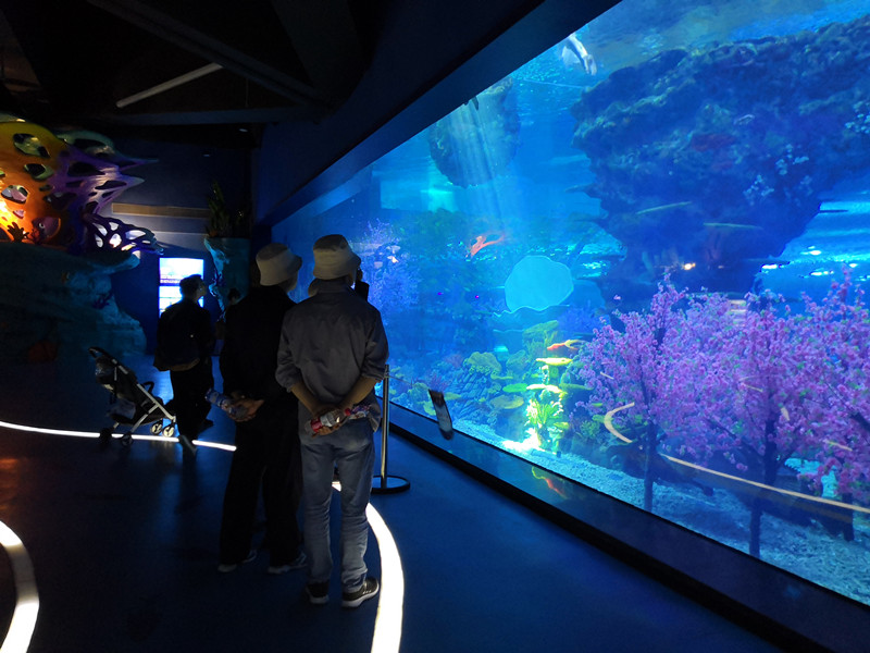 1555920724539456.jpg 1555920724539456.jpg