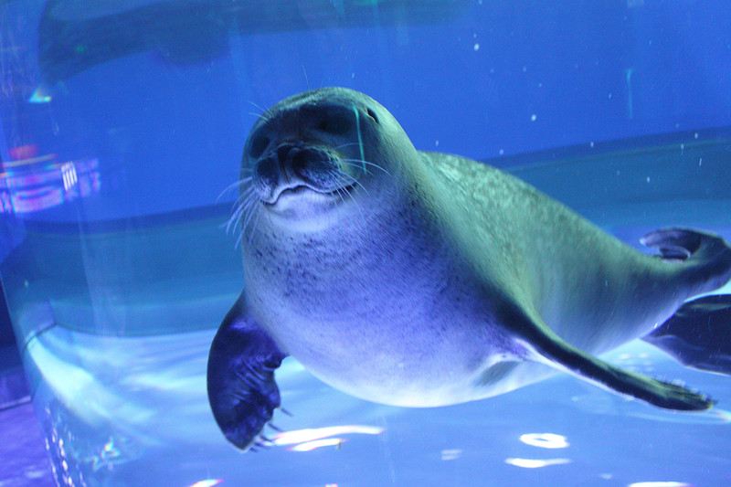 1555920794562689.jpg 1555920794562689.jpg