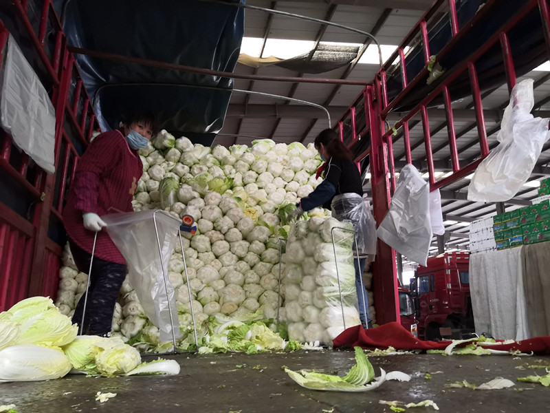 1580432066365770.jpg 1580432066365770.jpg