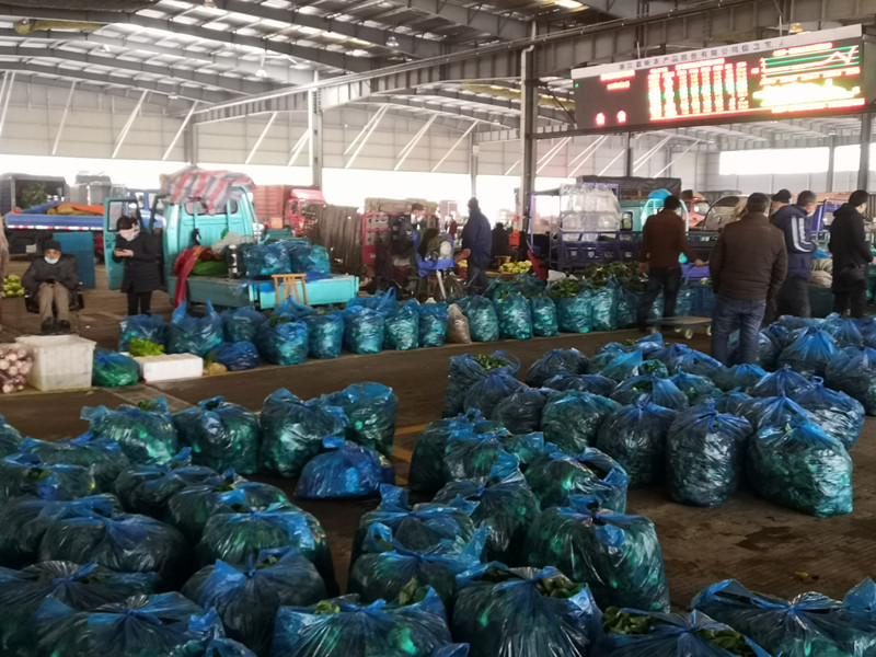 1580432066853120.jpg 1580432066853120.jpg