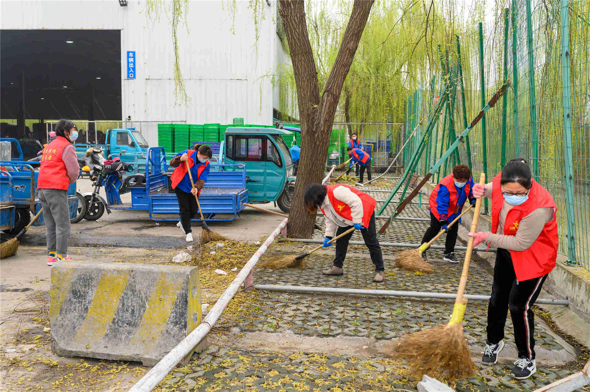 1615165533141051.jpg 1615165533141051.jpg