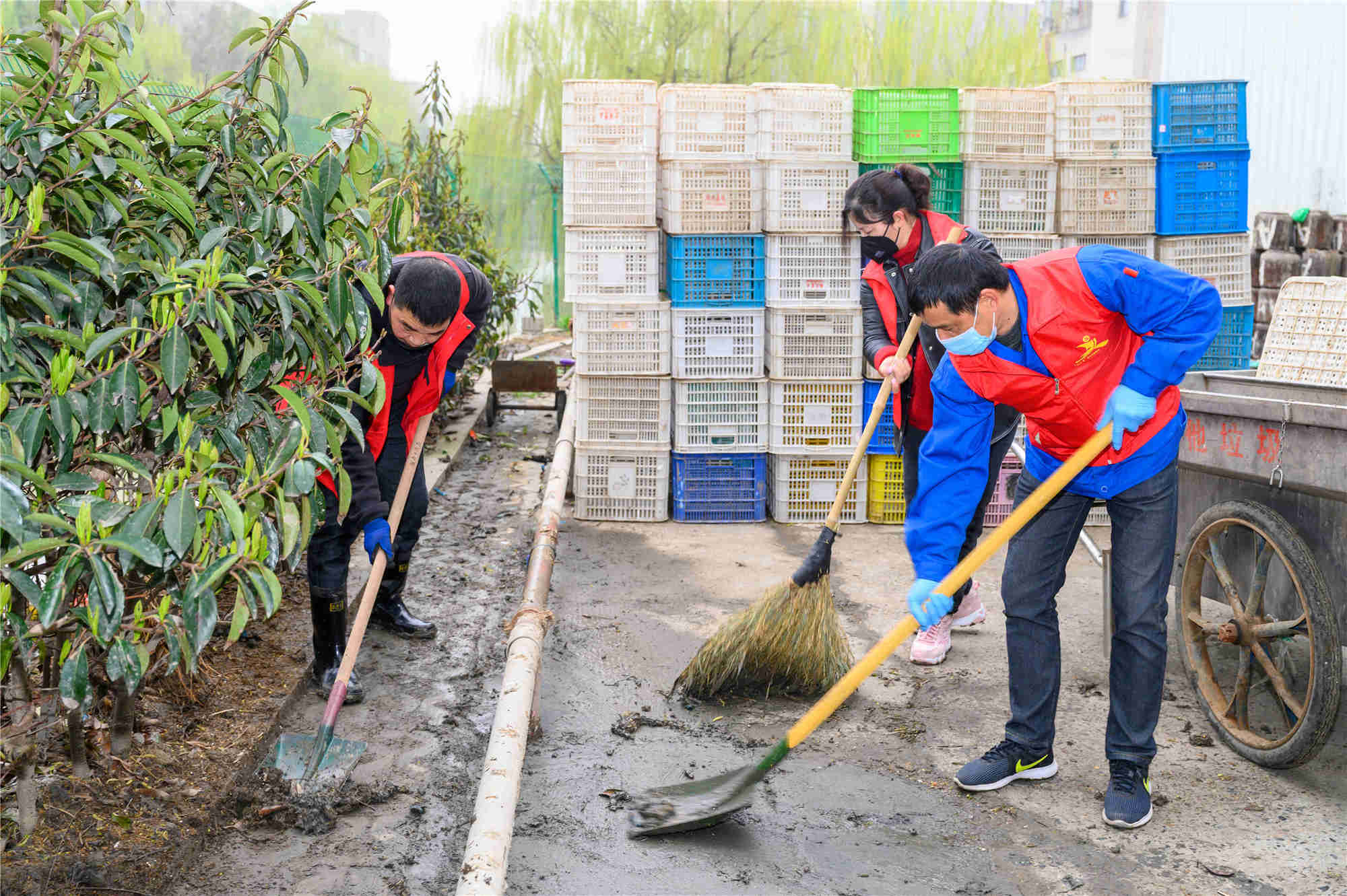 1615165625481567.jpg 1615165625481567.jpg