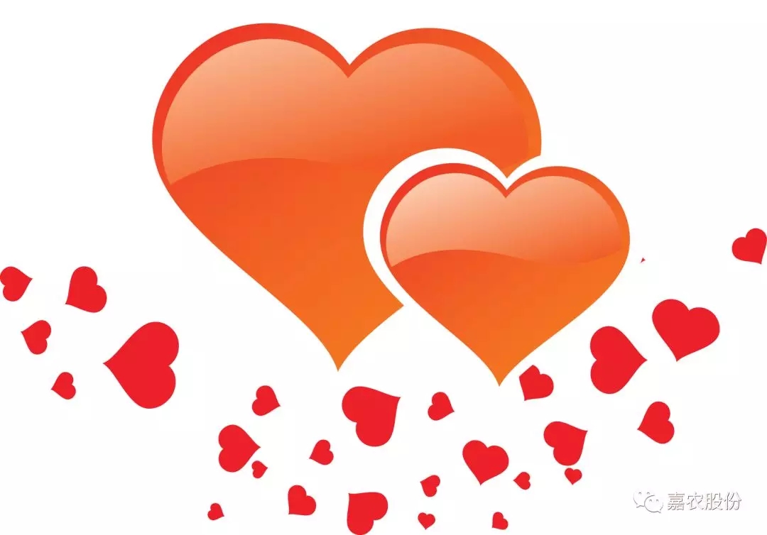 1624602484864860.jpg 1624602484864860.jpg