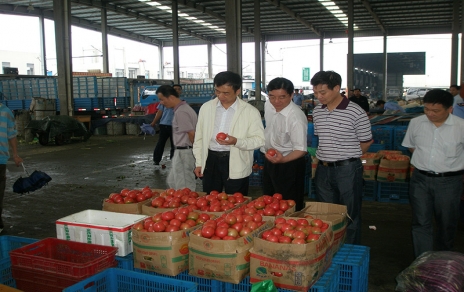 2011年6月嘉興市委常委、市政府常務(wù)副市長(cháng)蔣唯民一行蒞臨蔬菜市場(chǎng)視察菜籃子供應工作