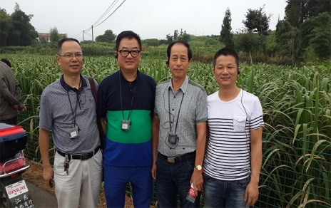 2014年8月，中國蔬菜流通協(xié)會(huì )會(huì )長(cháng)戴中久與公司、市場(chǎng)領(lǐng)導一起考察蔬菜基地