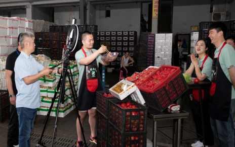 人間煙火氣，最撫凡人心  ---“嘉昕小廚房”本期主角：番茄！