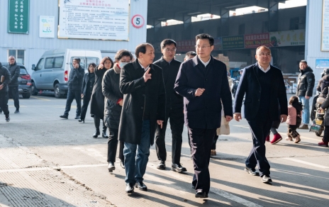 嘉興市委書(shū)記陳偉視察指導我公司春節保供應工作